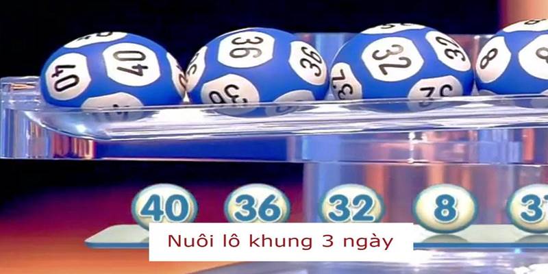 Tổng quan về hình thức nuôi lô theo khung 3 ngày